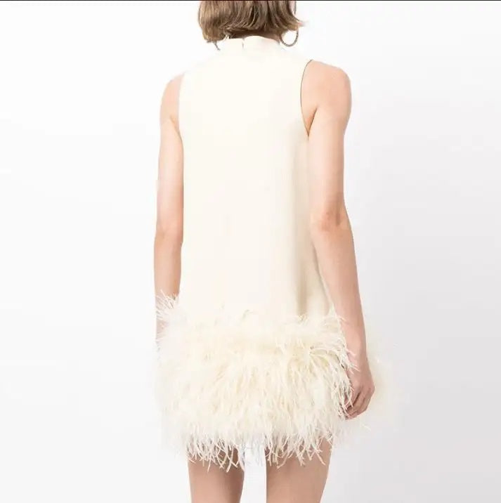 Olympia White Feather Stitching Mini Dress