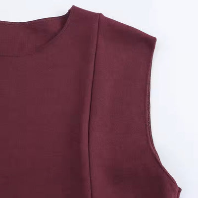 Verlee Plum Crew Neck A-Line Pleated Mini Dress