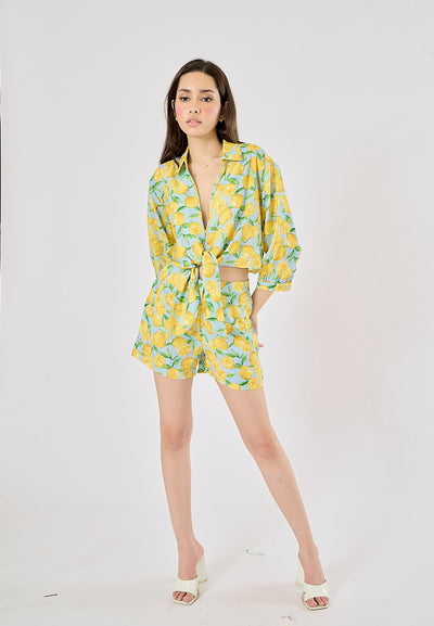 Sheena Yellow and Blue Fruit Print Long Sleeve Turn Down Collar Top