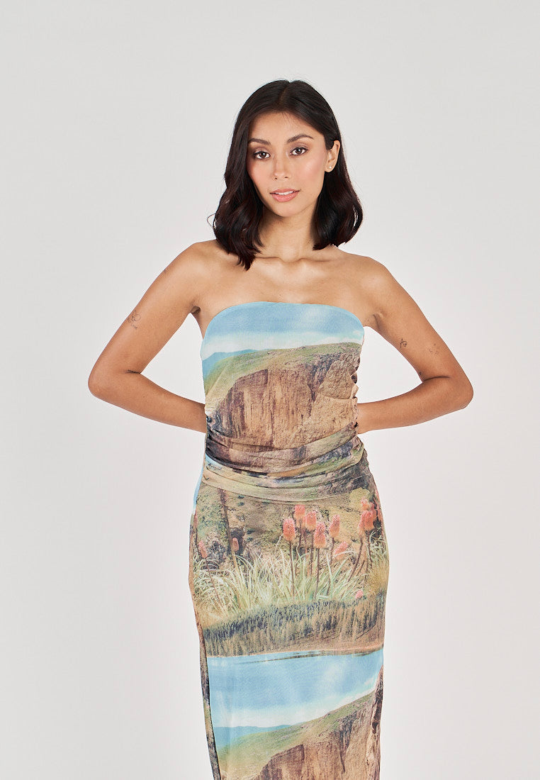 (PRE-ORDER: ETA November 10 ) Elba Green with Blue Falls Print Mesh Ruched Sides Tube Midi Dress