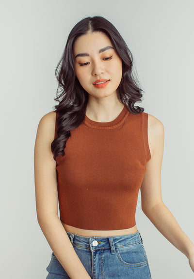 Anika Brown Round Neck Sleeveless Knitted Top