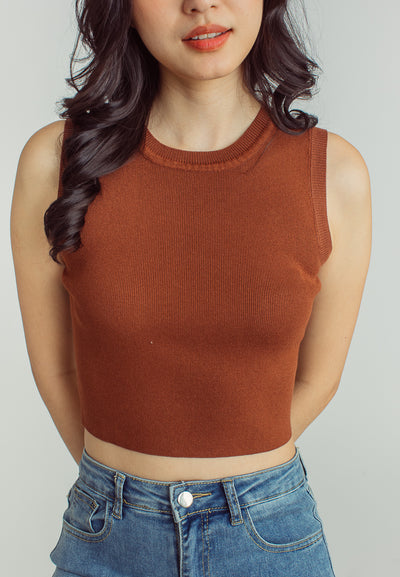 Anika Brown Round Neck Sleeveless Knitted Top